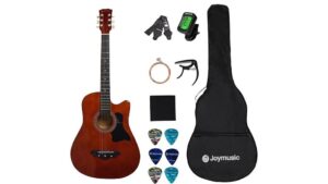 beginner friendly acoustic guitar