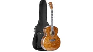 big vintage beginner guitar