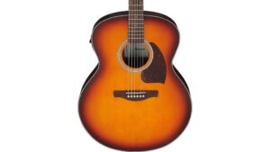 budget acoustic electric choice
