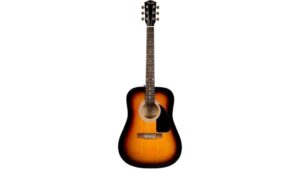 budget beginner guitar bundle