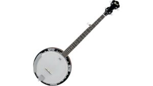 budget five string starter