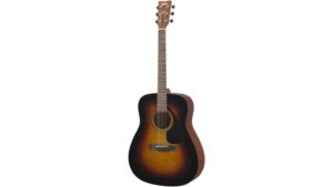 budget friendly acoustic guitar