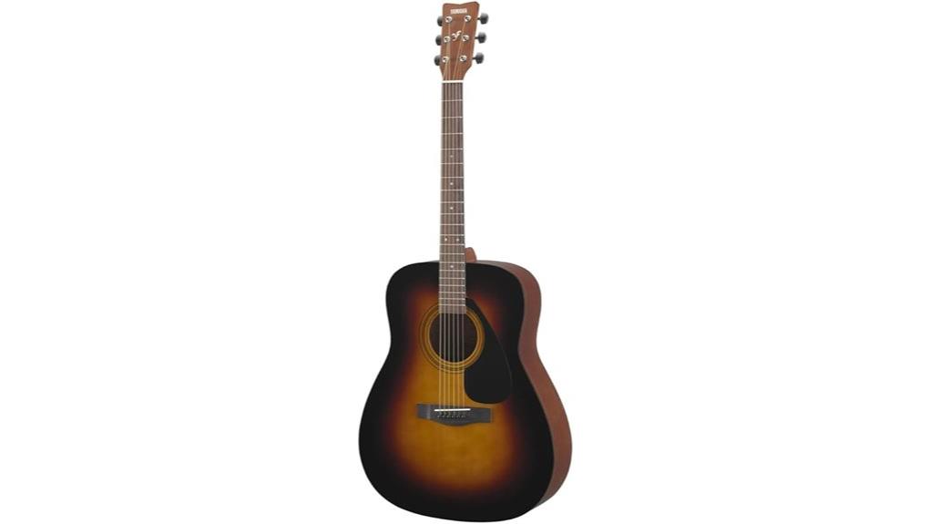 budget friendly acoustic guitar