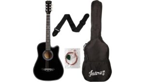 budget friendly beginner guitar