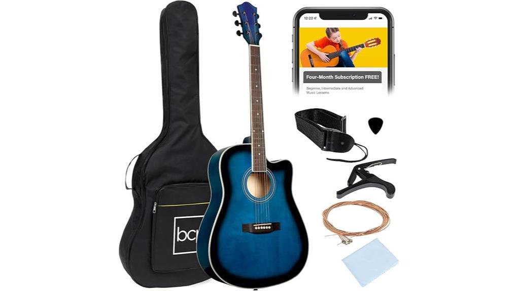 budget friendly beginner guitar
