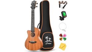 budget friendly beginner ukulele