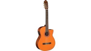 budget friendly electro acoustic