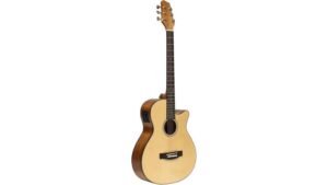 budget friendly hybrid instrument