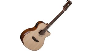 budget twelve string acoustic electric
