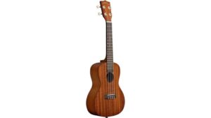 cheap concert beginner ukulele