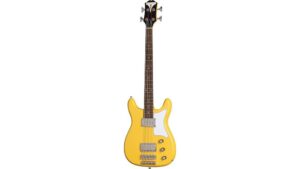 classic electric bass guitar