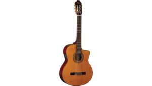 classical acoustic electric guitar