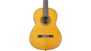 classical acoustic electric guitar