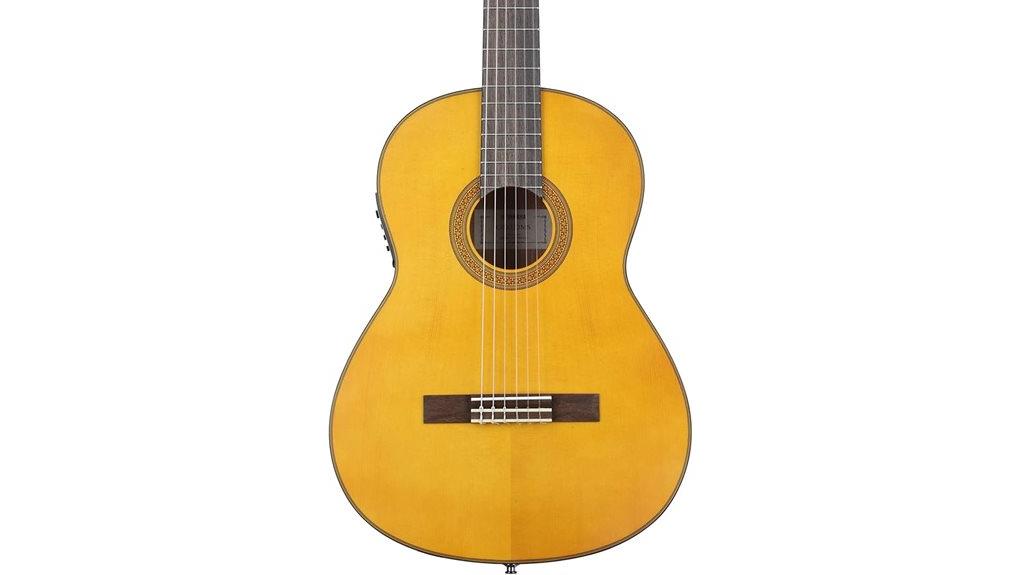 classical acoustic electric guitar