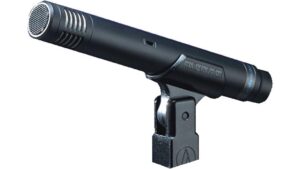 clear detailed sound reproduction