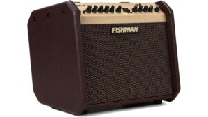 compact acoustic bluetooth amp