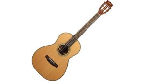 compact cedar acoustic guitar