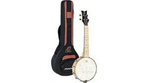 compact electric acoustic banjo