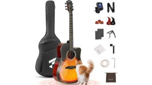 complete acoustic guitar kit