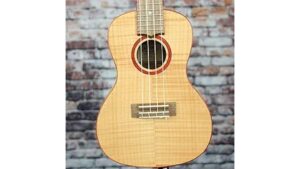 concert ukulele model review