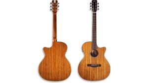 d 102hc electric acoustic guitar