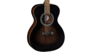 dean acoustic electric guitar