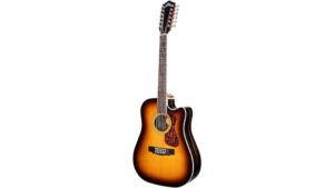 deluxe twelve string acoustic electric