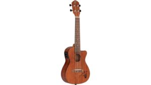 distinctive fire soundhole design