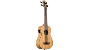 distinctive striped acoustic bass