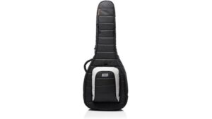 dual guitar protection case