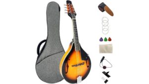 eight string mandolin review