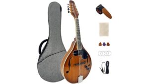 electric acoustic mandolin review