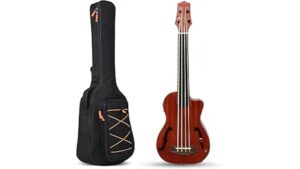 electric ukulele bass review