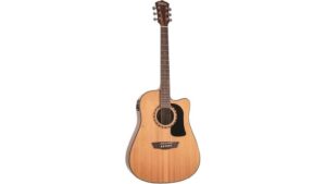 electro acoustic folk guitar