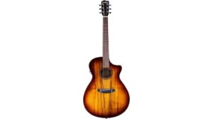 elegant exotic acoustic guitar