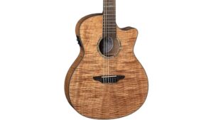 elegant nylon string guitar