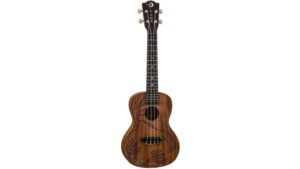 elegant ocean ukulele design