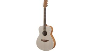 elegant silent acoustic masterpiece