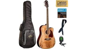 entry level electric guitar