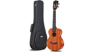 enya euc mad concert ukulele
