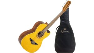 excellent beginner acoustic guitar
