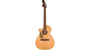 fender newporter player review