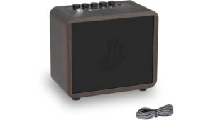 fifteen watt guitar amp