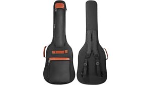 fits thirty nine inch guitars