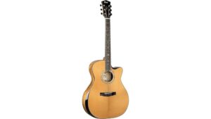 gold edge acoustic electric guitar