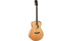 gold series acoustic guitar