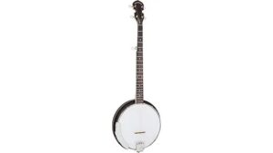 gold tone ac 5 review