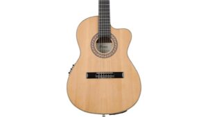 great affordable starter guitar