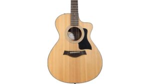 great budget electro acoustic