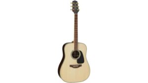 great dreadnought acoustic guitar